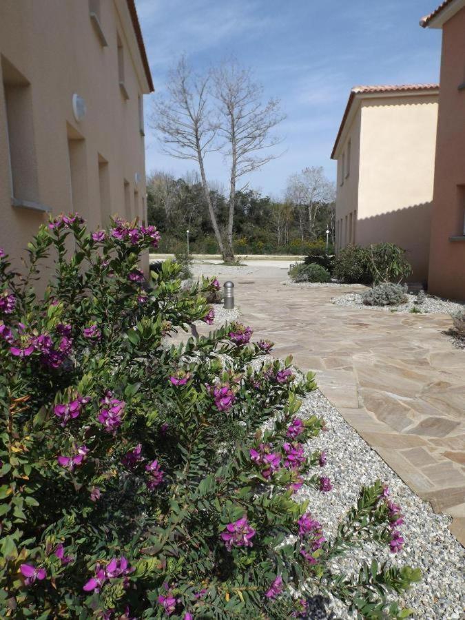 Nouvel Location D'Un Bel Appart T2 Climatise Et Meuble Au Rdch Avec Piscine Dans Residence Les Melody Santa-Maria-Poggio  Zewnętrze zdjęcie